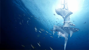 SeaOrbiter